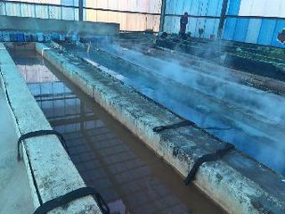 3519843539_463385306.jpg 3519843539_463385306.jpg